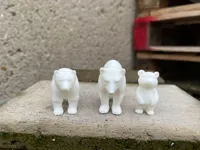 Famille d'ours polaires — photo 2