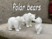 Famille d'ours polaires — photo 1