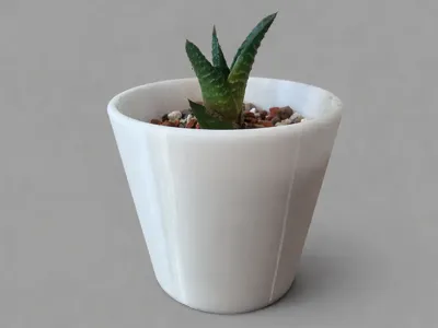 TINY PLANT POT