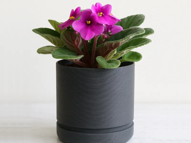 Small Flower Pot