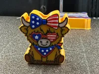 0.16mm layer, 3 walls, 15% infill