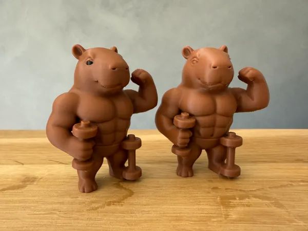 https://makerworld.bblmw.com/makerworld/model/USe0b1bbbda6a717/design/2025-06-28_2f8f1ecd0f532.jpg