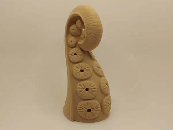 https://makerworld.bblmw.com/makerworld/model/USe0b2935205e00f/design/2025-07-20_aa0a5ea0322308.jpg
