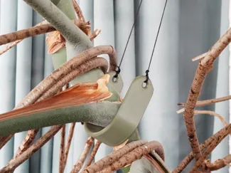 Pflanzen / Monstera Halter/ Stütze