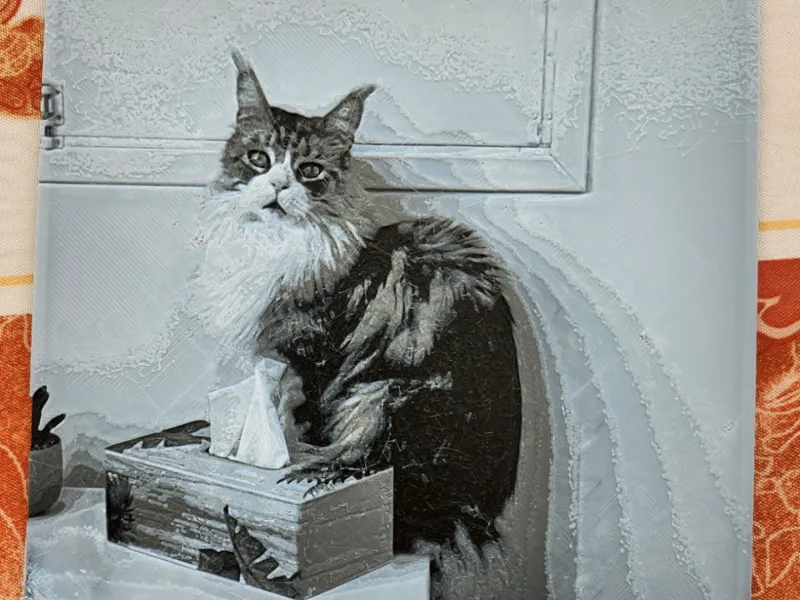 maine coon Hueforge