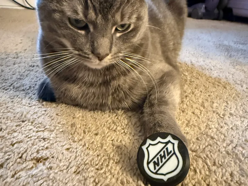 NHL Cat Hockey Puck