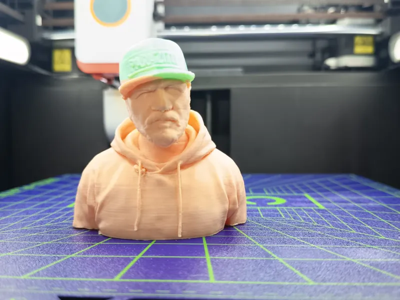 Freakadadisk Bust