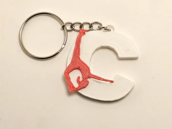 https://makerworld.bblmw.com/makerworld/model/USe0caf923f9465e/design/2025-10-26_41748ba1251268.jpeg