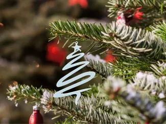 Spiral Christmas Tree Ornament with Star