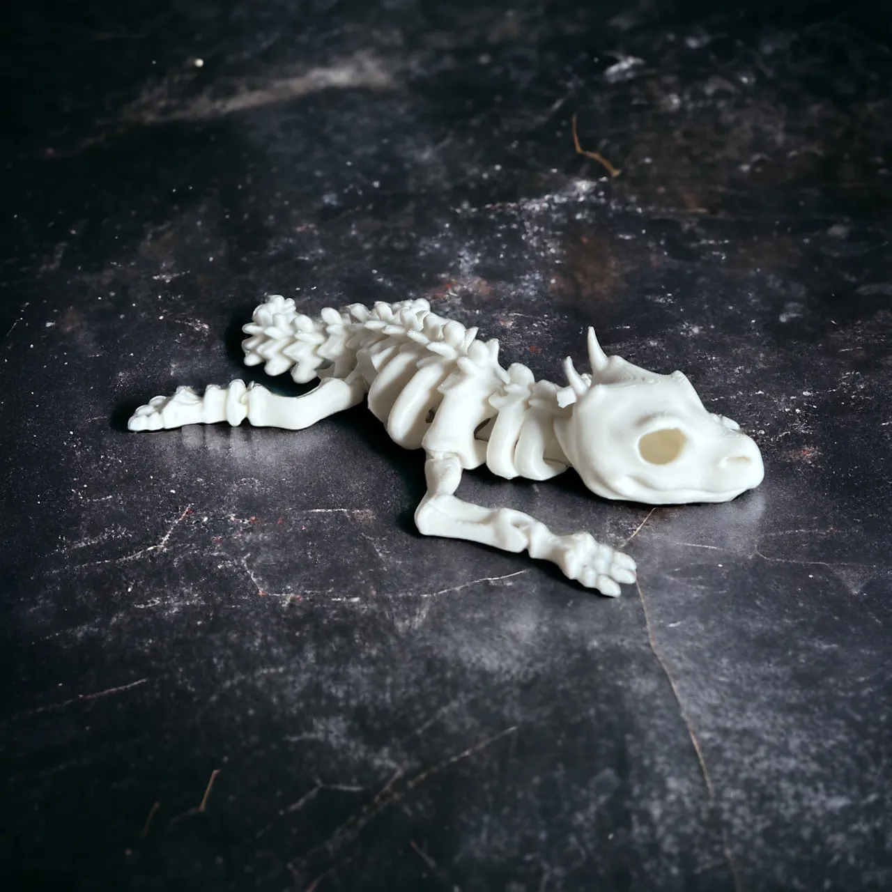 Articulated Skeleton Lizard view 4