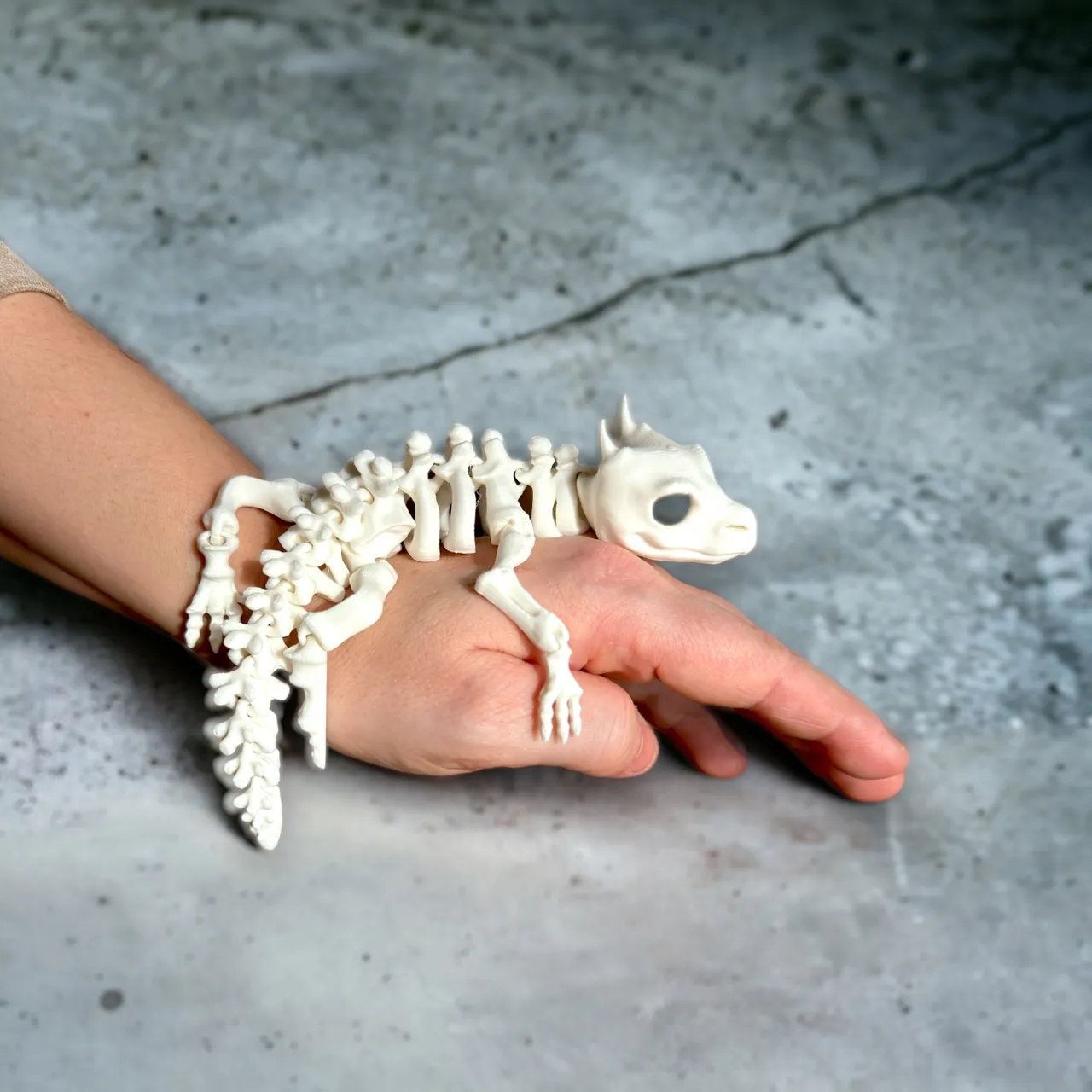 Articulated Skeleton Lizard view 2