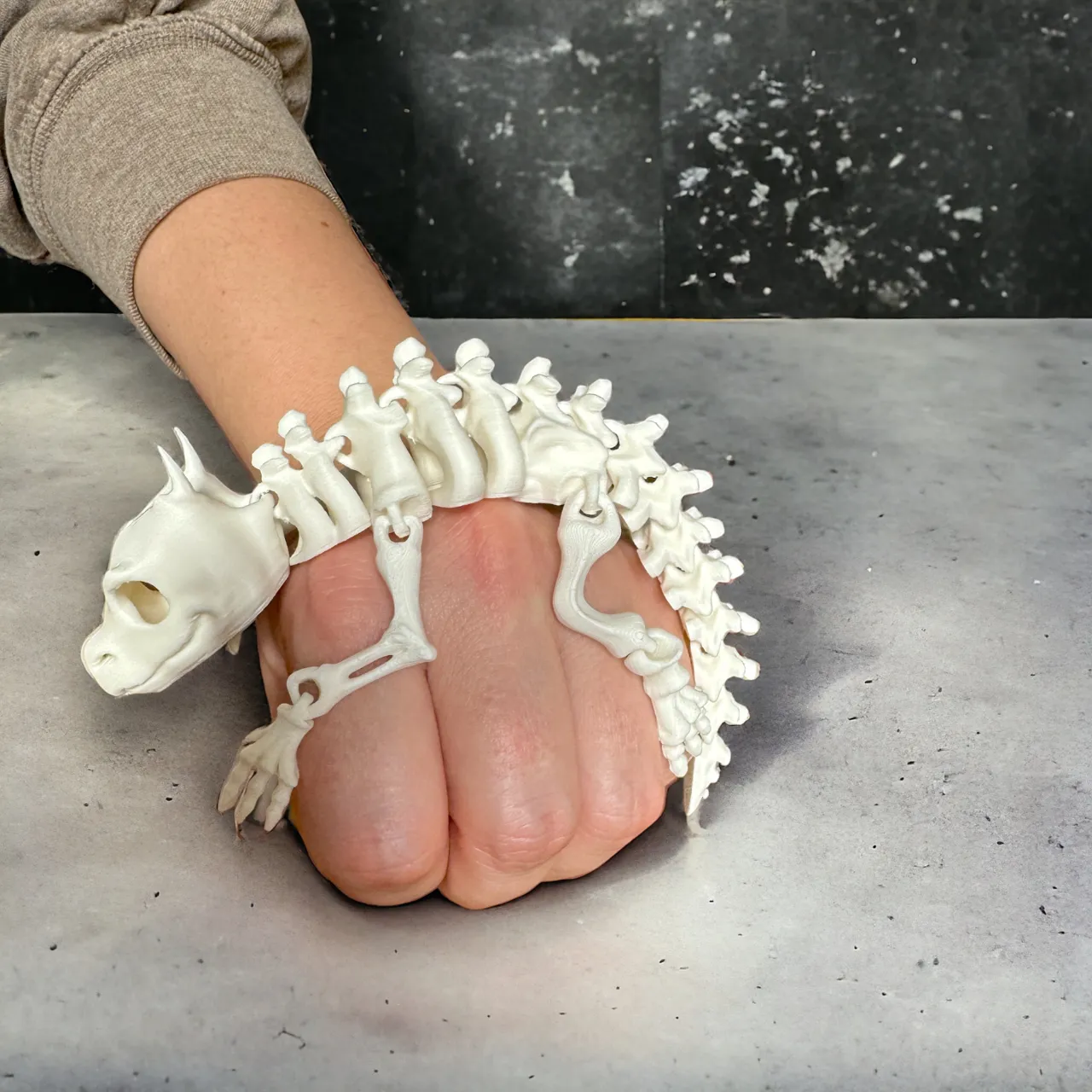 Articulated Skeleton Lizard view 3