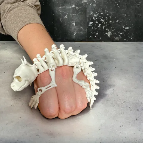 Articulated Skeleton Lizard view 3