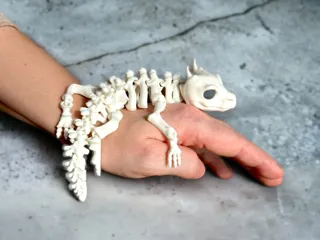 Articulated Skeleton Lizard