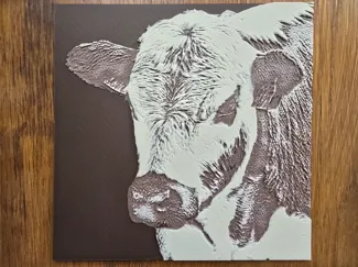 Cow head ~ Hueforge
