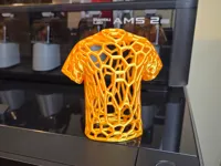 Trophée maillot Voronoi — photo 1