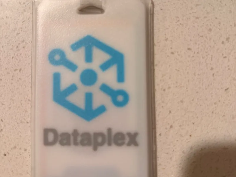 Google Dataplex badge holder