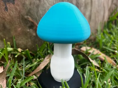Mushroom Fruit Fly Trap