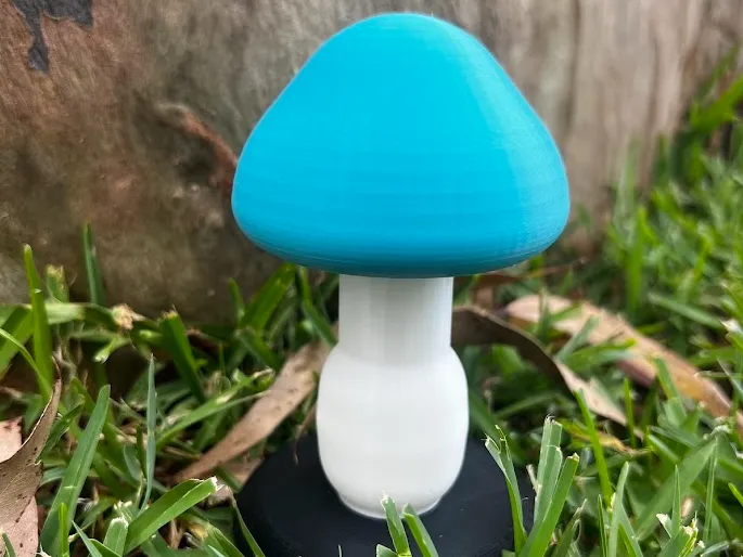 Mushroom Fruit Fly Trap