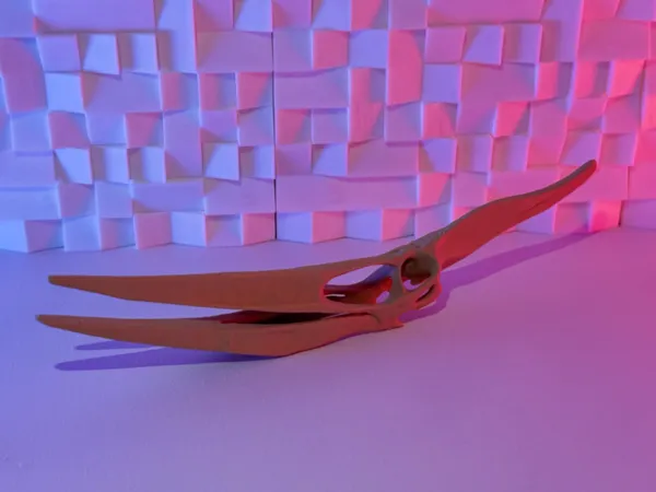 https://makerworld.bblmw.com/makerworld/model/USe0e394cb11d05c/design/2025-07-04_e855bac277a54.jpeg