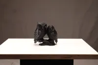 Un couple de hiboux — photo 2