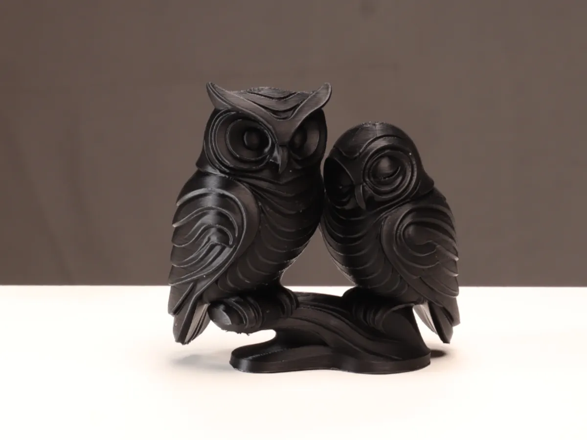 Un couple de hiboux
