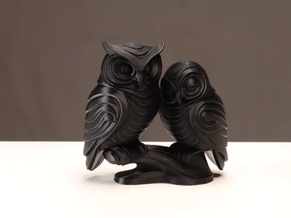 Un couple de hiboux