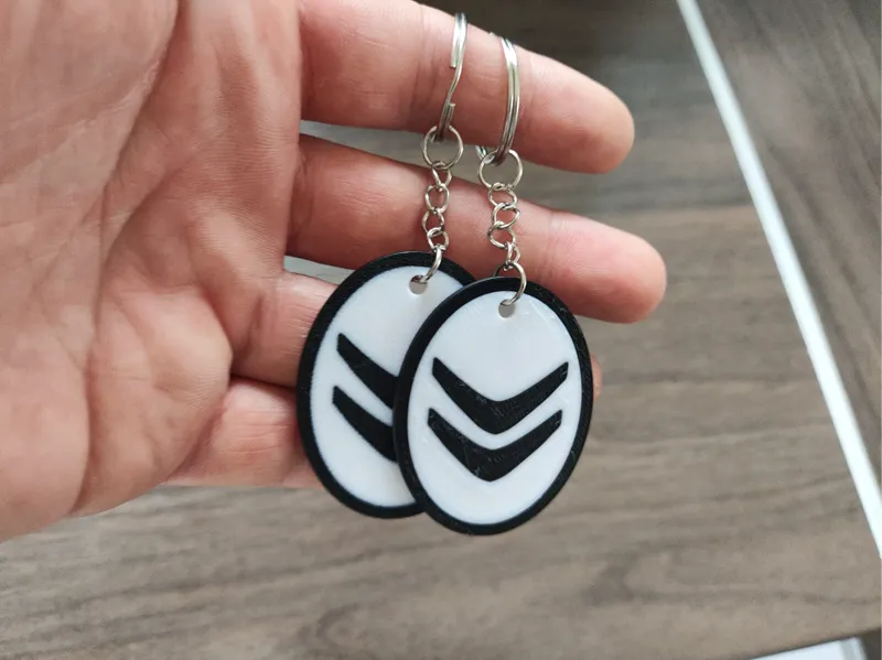 Citroen Keyring