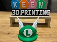 0.16mm layer, 3 walls, 10% infill