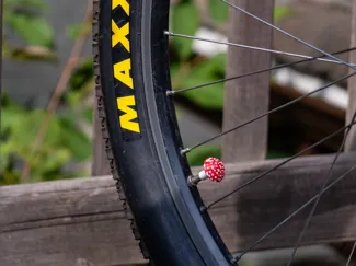 Bike Valve Stem Cap - Mushroom
