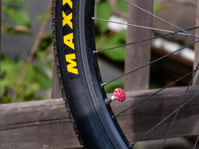 Bike Valve Stem Cap - Mushroom