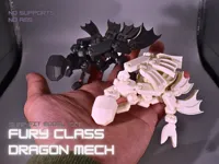 Both Dragons