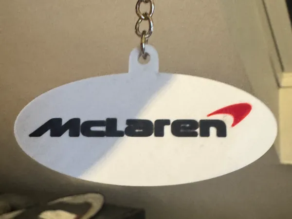 https://makerworld.bblmw.com/makerworld/model/USe0f62bea8b82b3/design/2025-04-01_030e0918846d8.jpg
