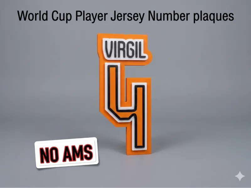 Virgil Van Dijk World Cup Jersey No4 Plaque-No AMS
