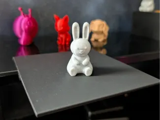 Little Rabbit
