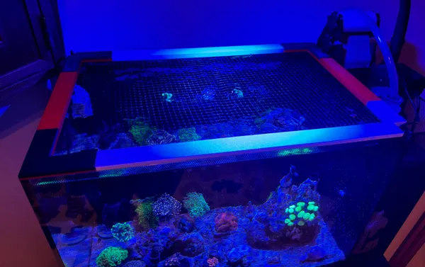 https://makerworld.bblmw.com/makerworld/model/USe0fcefc34f6526/design/2024-08-09_4a4440908d831.jpg