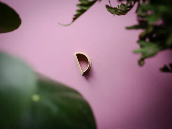 https://makerworld.bblmw.com/makerworld/model/USe0fe79f9d70fbe/design/2024-12-27_56f396faf2552.jpg