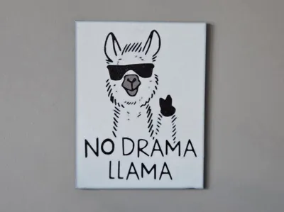 No drama lama plate