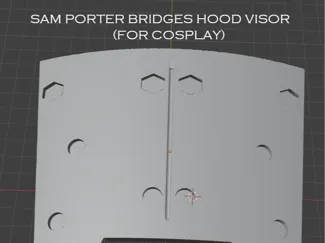 SAM BRIDGES HOOD'S VISOR