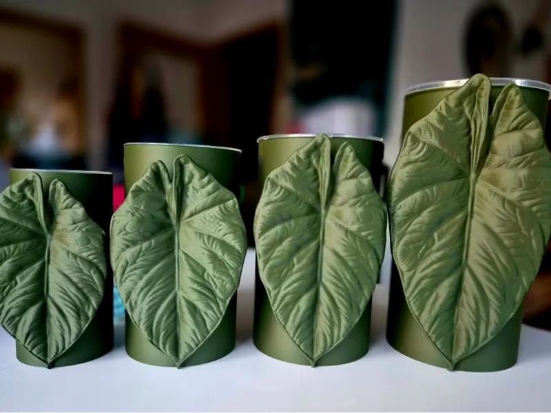 Alocasia Maharani Planter