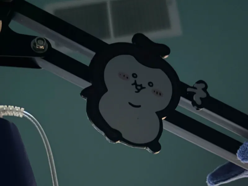 Chiikabu Magnet