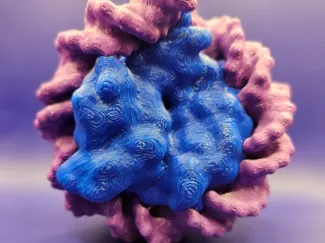 Nucleosome