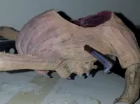 Barrette Head Crab Half-Life — photo 1
