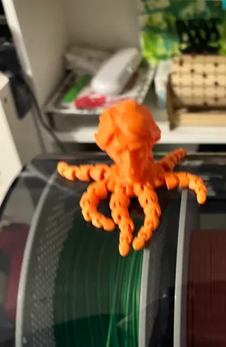 Arcanetupus