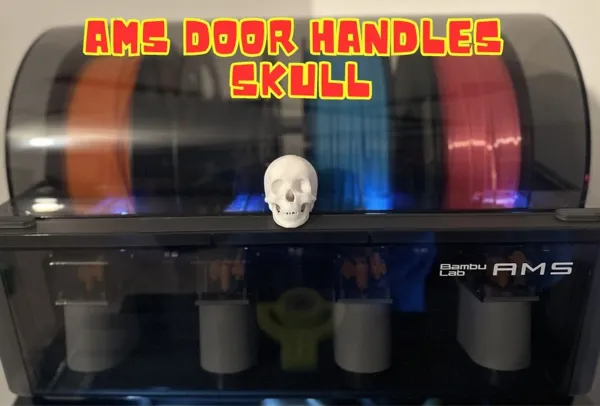 https://makerworld.bblmw.com/makerworld/model/USe112c33eddc29/design/2023-12-26_9dbfa6b341eb2.jpg