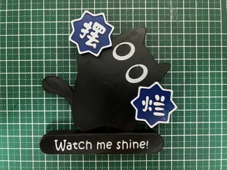 (摆烂)东北猫猫转手娟