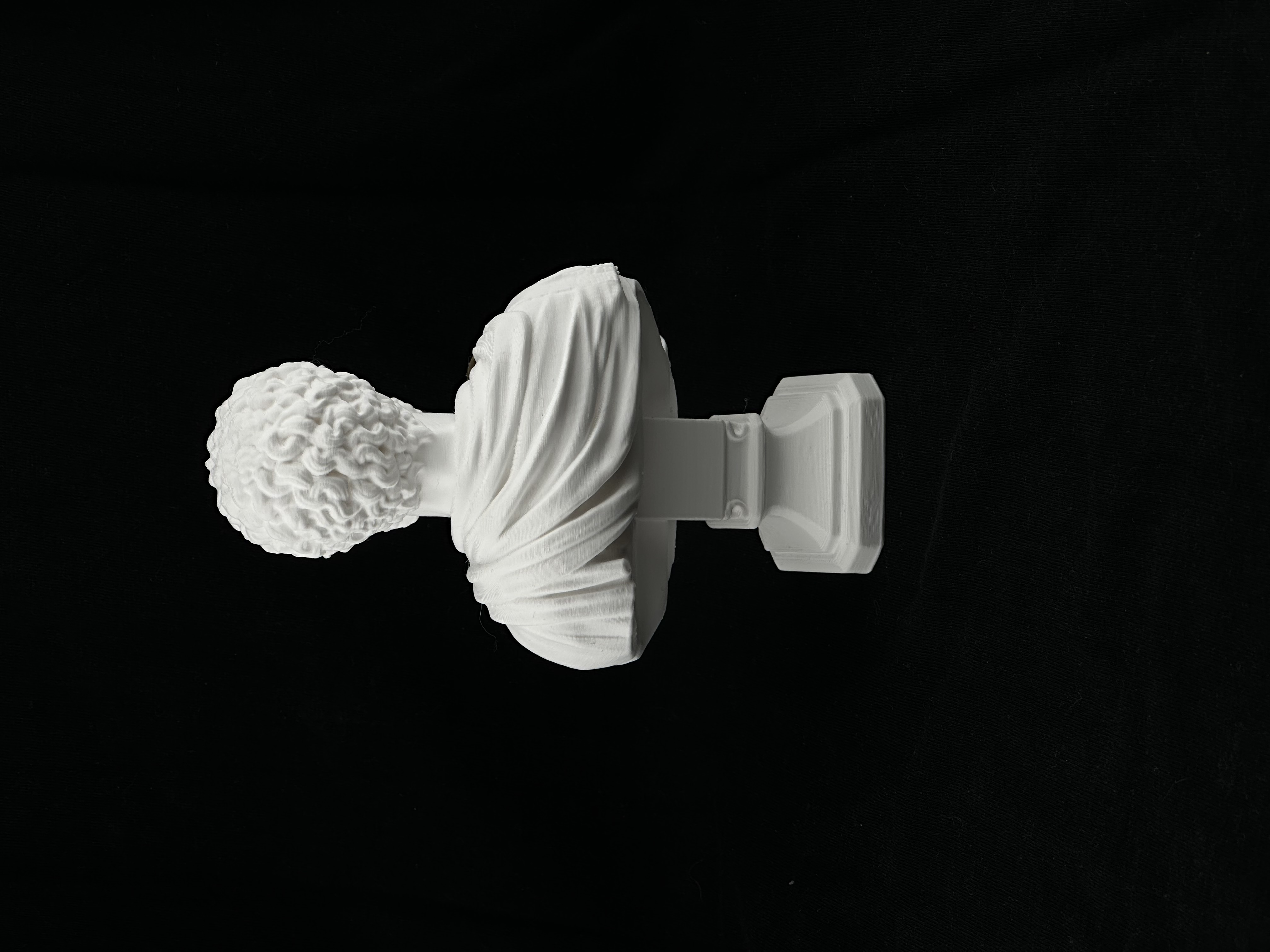 Miniatura 1 do modelo 3D Marcus Aurelius Stoic Bust