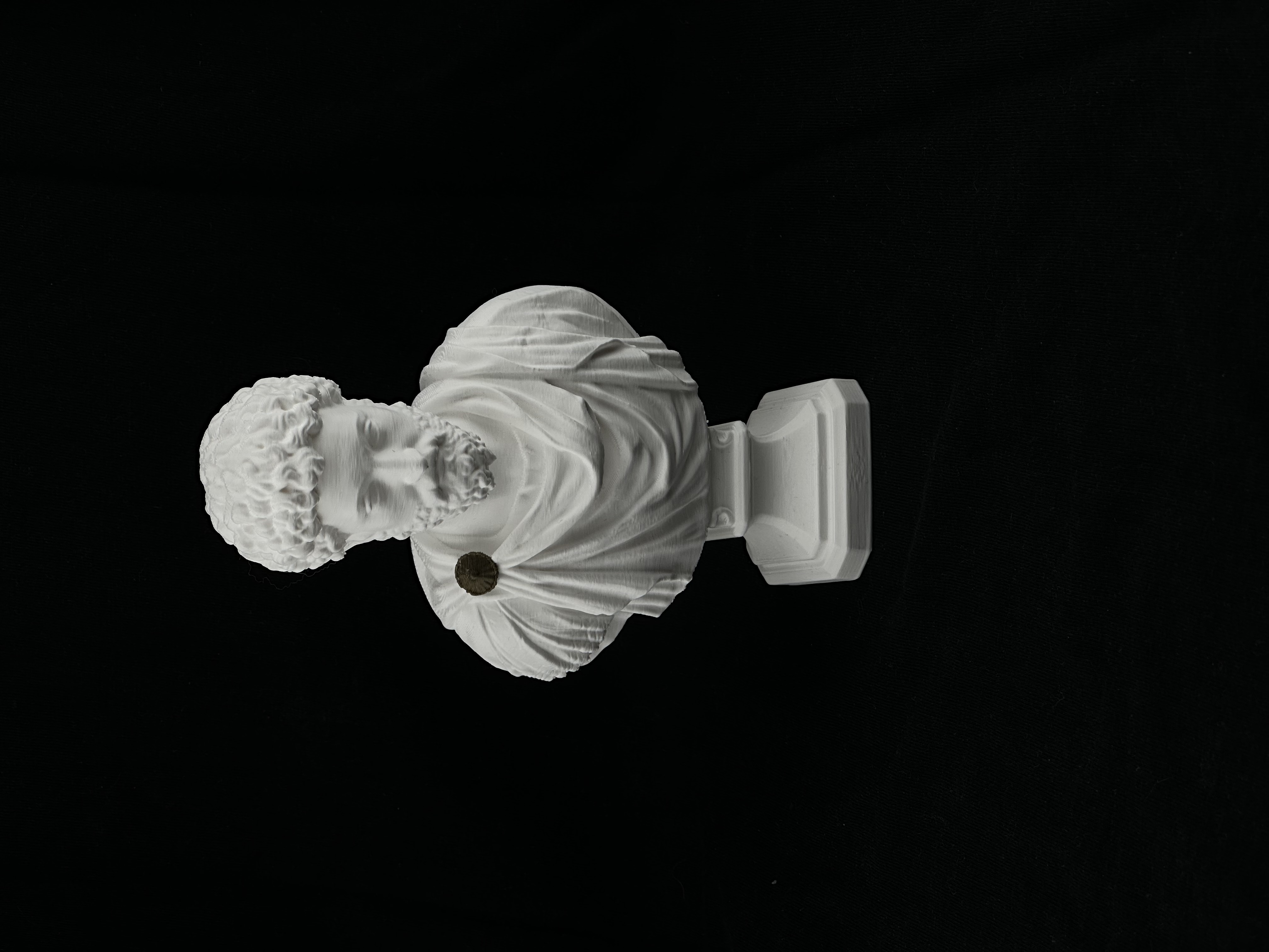 Miniatura 2 do modelo 3D Marcus Aurelius Stoic Bust