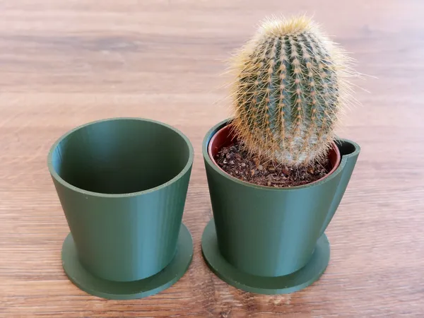 Pot pour cactus