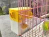 0.2mm layer, 3 walls, 20% infill